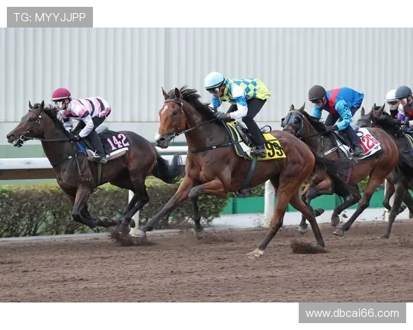 如何在HKJC香港赛马中提升你的投注技巧与策略 如何在HKJC香港赛马中提升你的投注技巧与策略